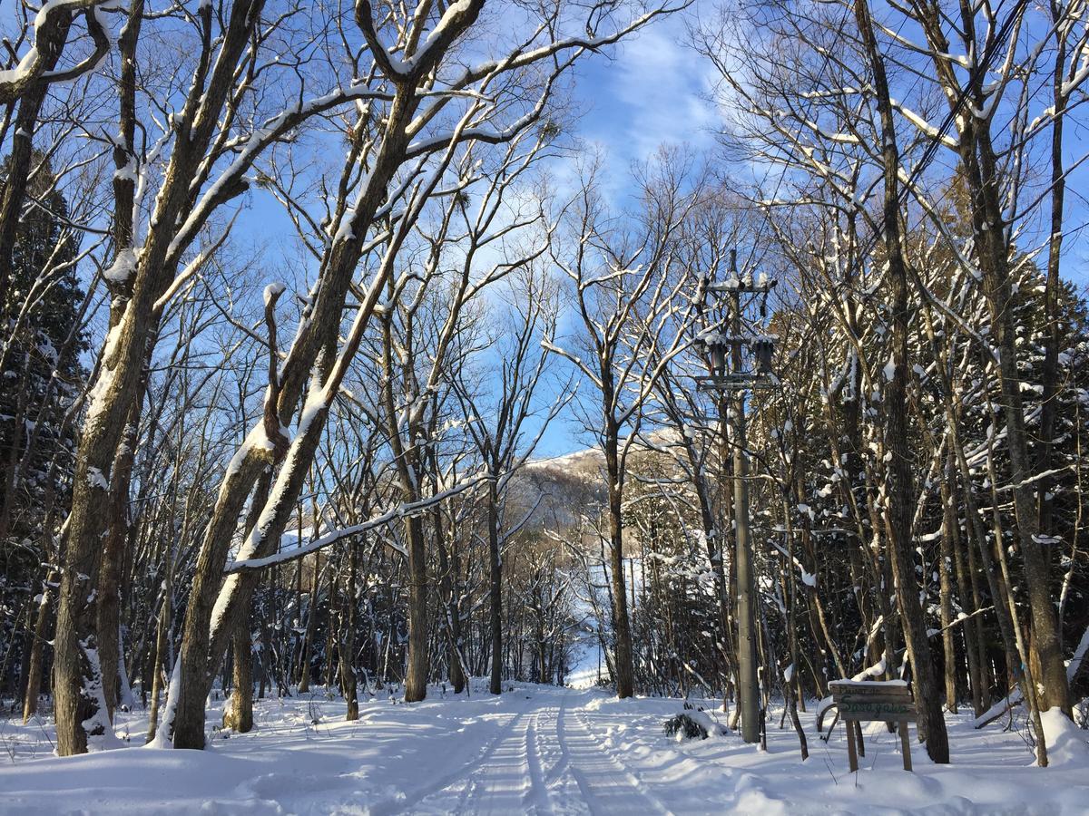 Maison De Sasagawa Hakuba Dış mekan fotoğraf
